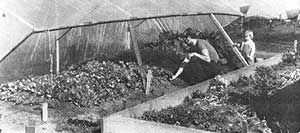 Some harvests actually doubled from year to year with the biodynamic farming method.